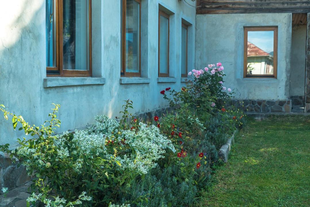 Старе Подвір'Я Verkhovyna Exterior foto
